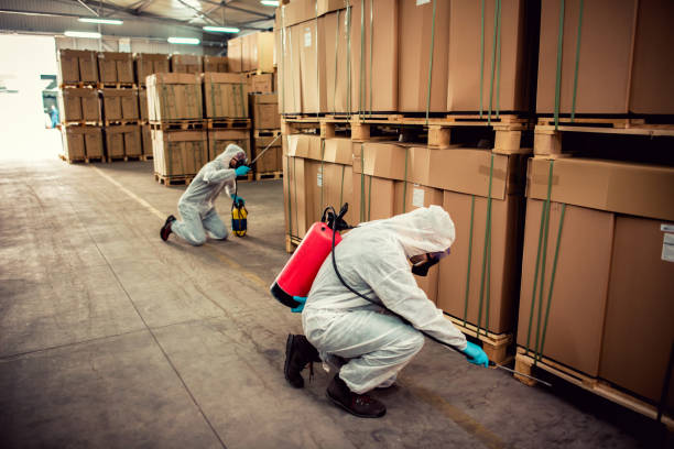 Best Affordable Pest Control Services  in Pleasureville, KY