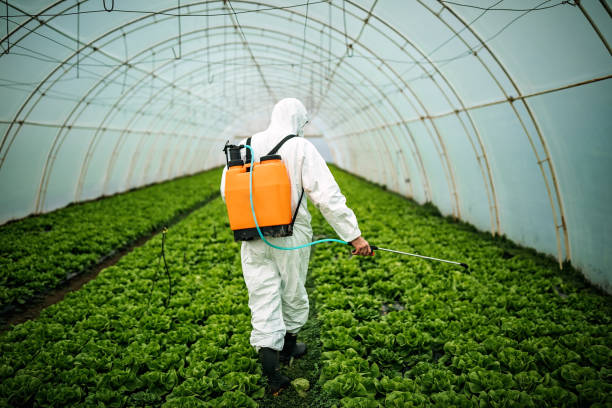 Best Residential Pest Control  in Pleasureville, KY