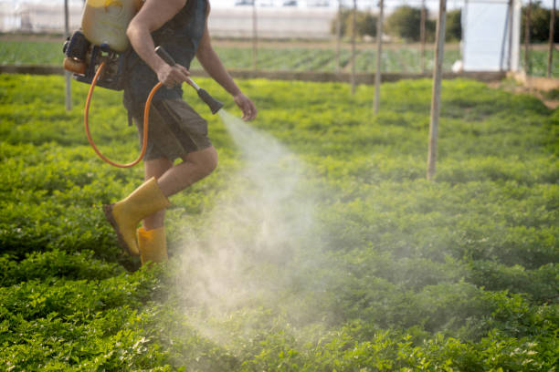 Best Pest Inspection Near Me  in Pleasureville, KY