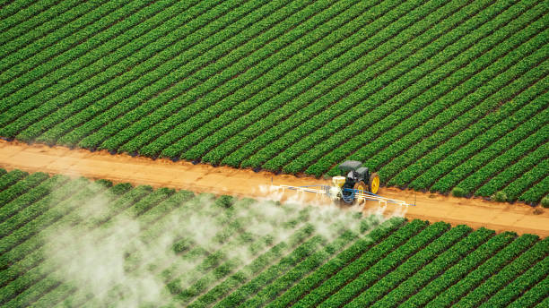 Best Pest Control for Homes  in Pleasureville, KY