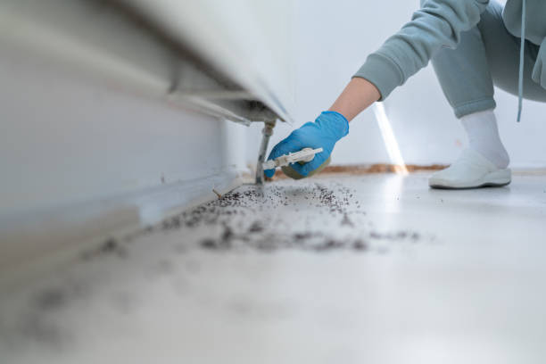 Best Wildlife Control Services  in Pleasureville, KY
