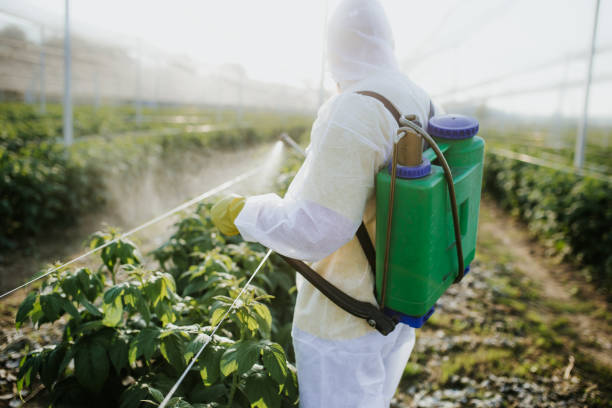 Best Bed Bug Extermination  in Pleasureville, KY